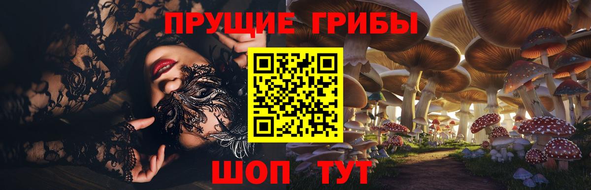 Галлюциногенные грибы Psilocybine cubensis Алексин