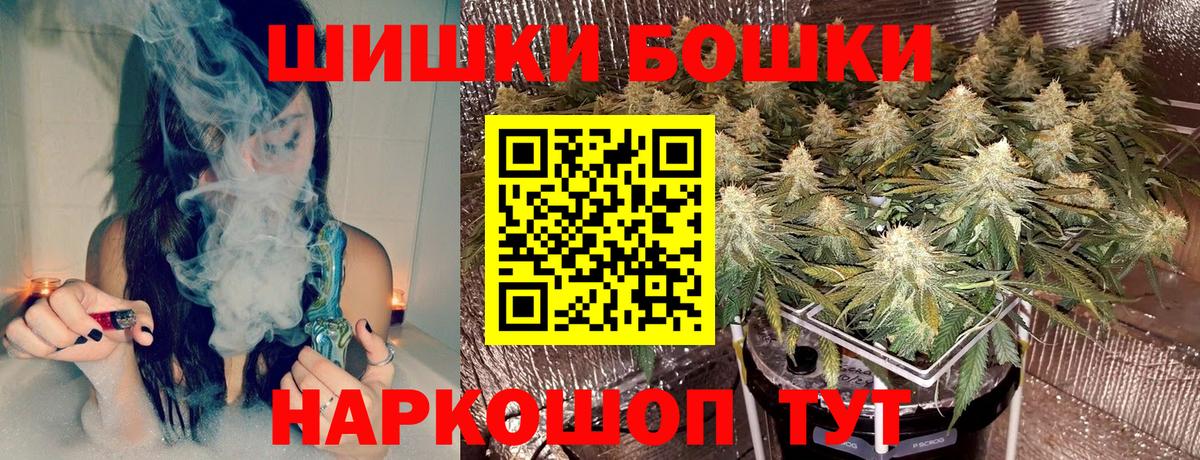 Бошки Шишки планчик Алексин